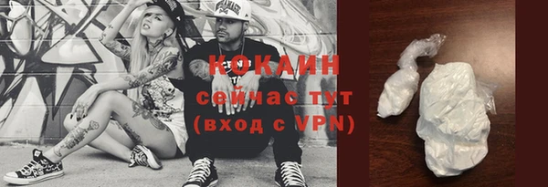 гашик Михайлов