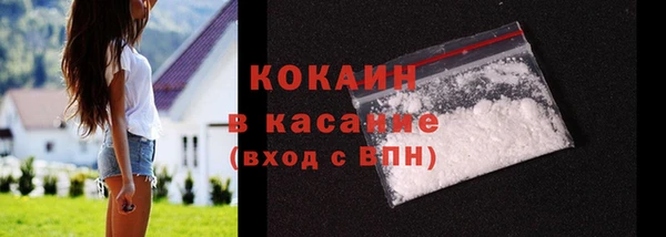 гашик Михайлов