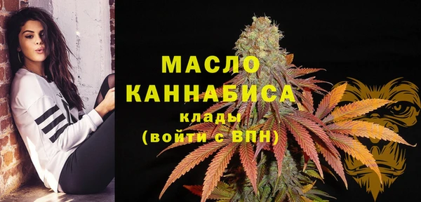 гашик Михайлов