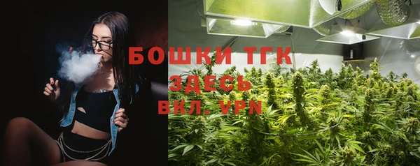 гашик Михайлов