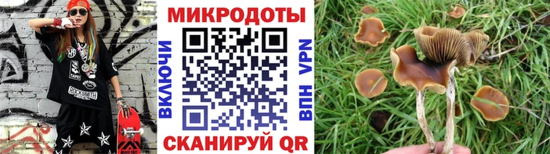 Псилоцибиновые грибы MAGIC MUSHROOMS  Купить где  Ахтубинск 